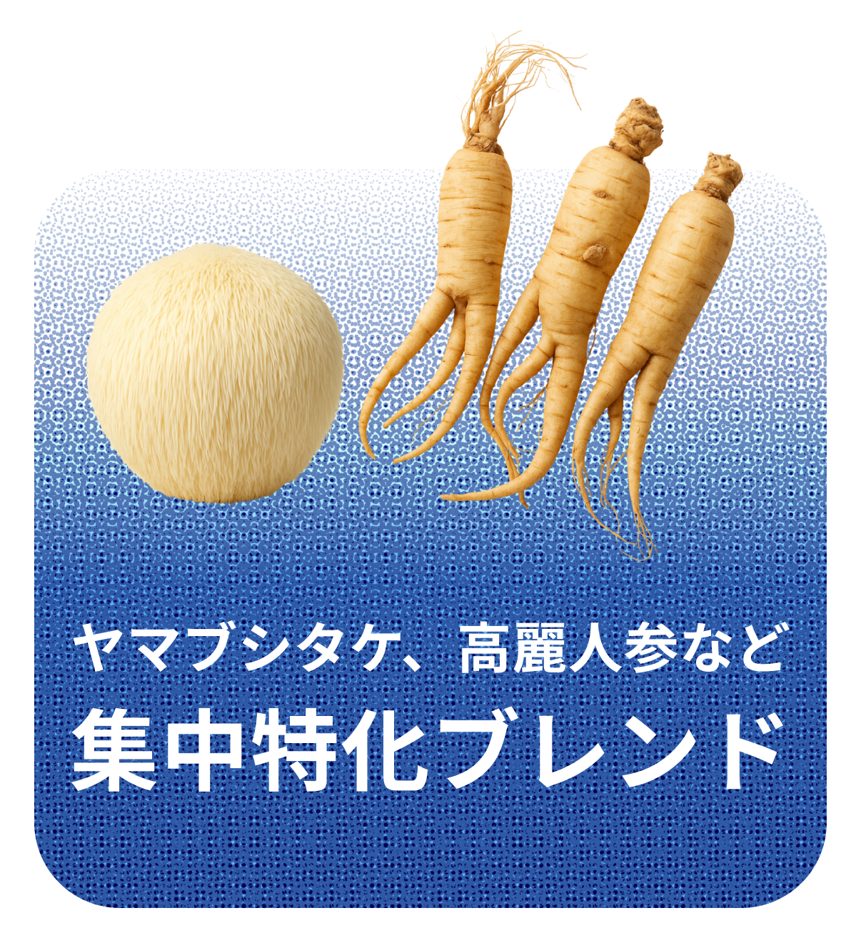 COFFEE CLUB - 30日分 定期便